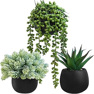 Set of 3 Artificial Succulent Plants in Black Concrete Pots Faux Aloe Hops String of Pearls Potted Plants Small Fake Plants Desk Plants for Home Office Desk Kitchen Bathroom Shelf Windowsill