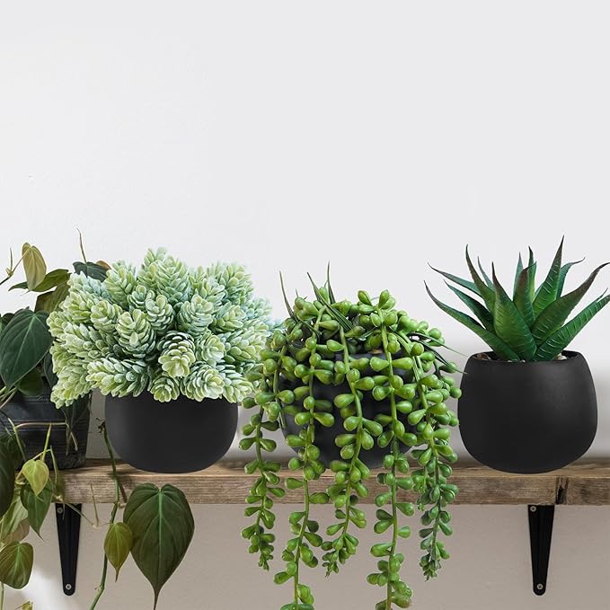 Set of 3 Artificial Succulent Plants in Black Concrete Pots Faux Aloe Hops String of Pearls Potted Plants Small Fake Plants Desk Plants for Home Office Desk Kitchen Bathroom Shelf Windowsill