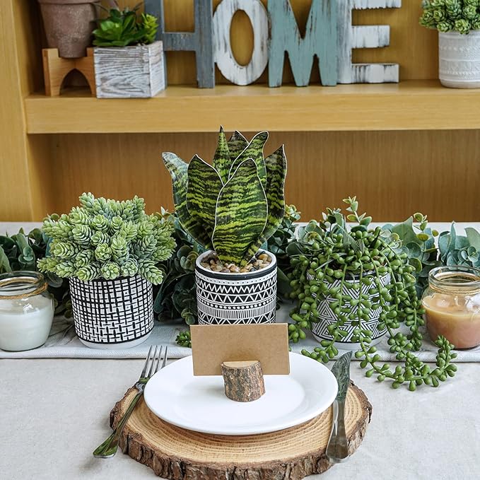 3 Pcs Small Potted Plants Artificial Succulents Hanging Plants and Faux Tropical Snake Plant in Black Geometric Pots for Modern Home Kitchen Windowsill Table Shelf Indoor Outdoor Greenery Decor