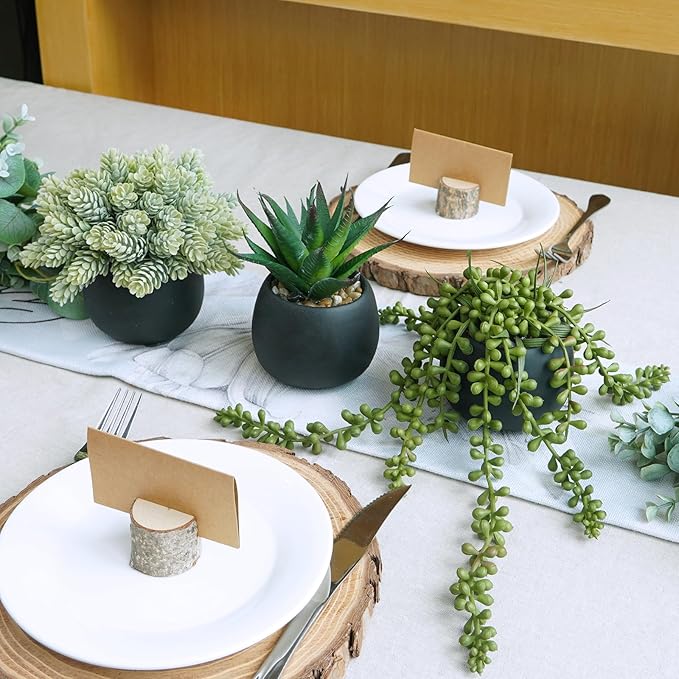 Set of 3 Artificial Succulent Plants in Black Concrete Pots Faux Aloe Hops String of Pearls Potted Plants Small Fake Plants Desk Plants for Home Office Desk Kitchen Bathroom Shelf Windowsill